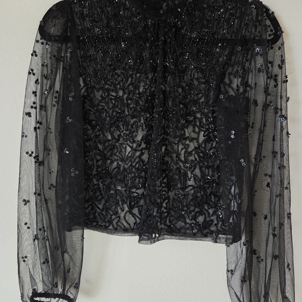 Zara Black Sheer Embellished Blouse